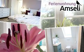 Ferienwohnung Amseli